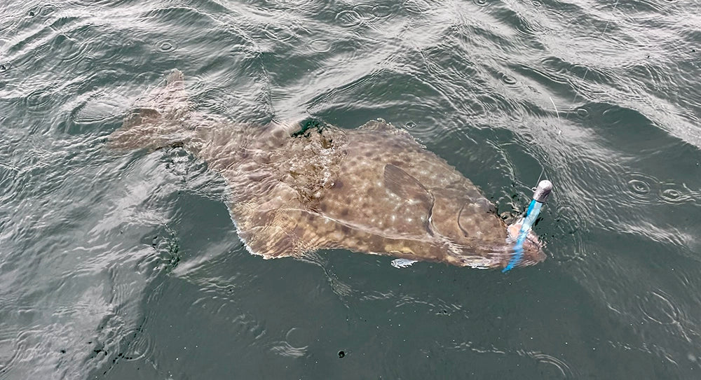 Our Guide to Washington's 2025 Halibut Season