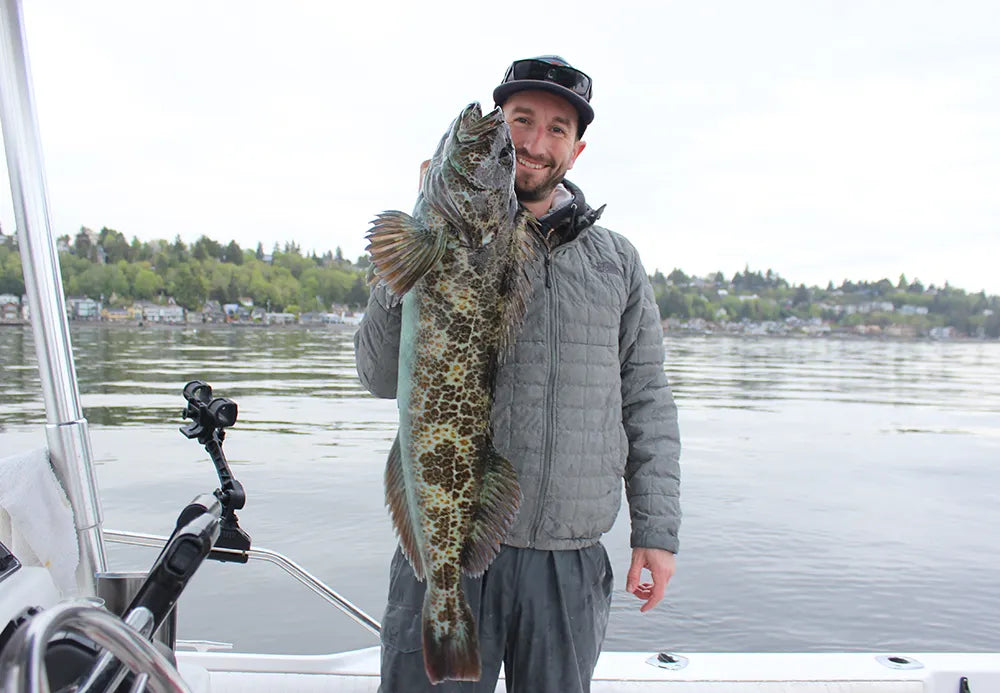 Lingcod Rigging: Live Bait Setup
