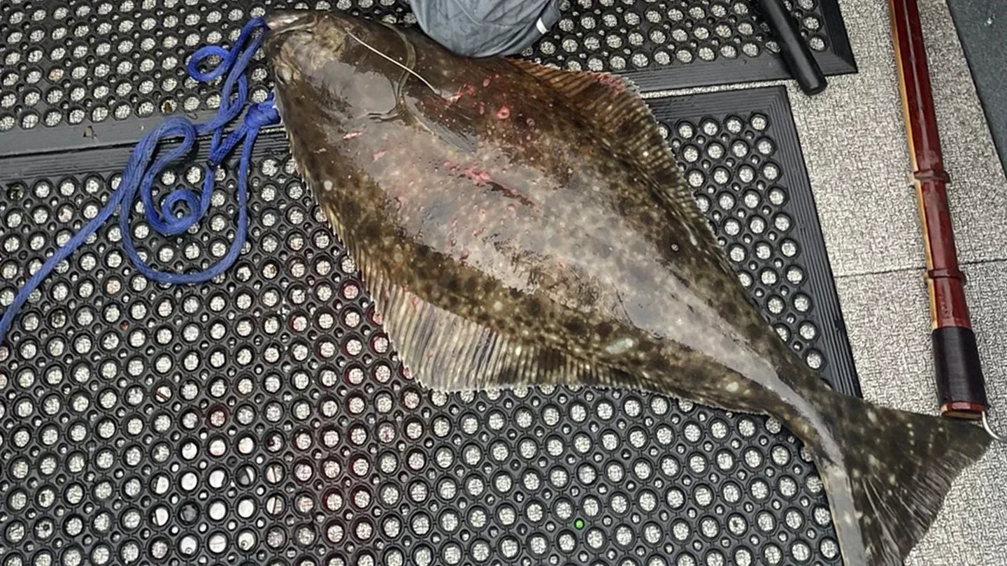 Puget Sound Halibut Season opens April 2nd