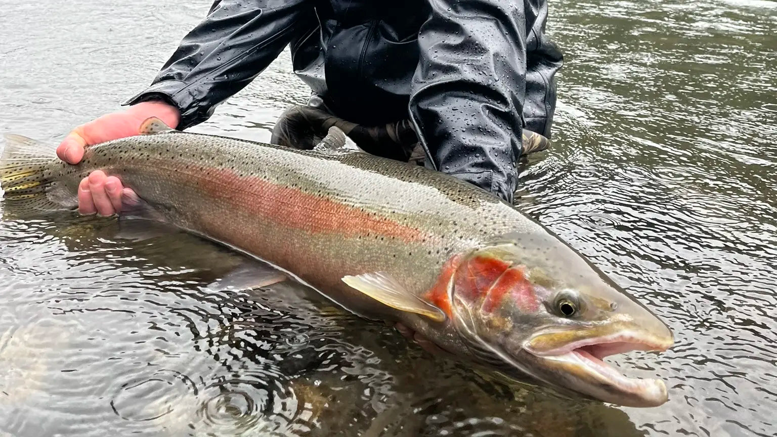 Steelhead Rigging: Float Fishing Setup