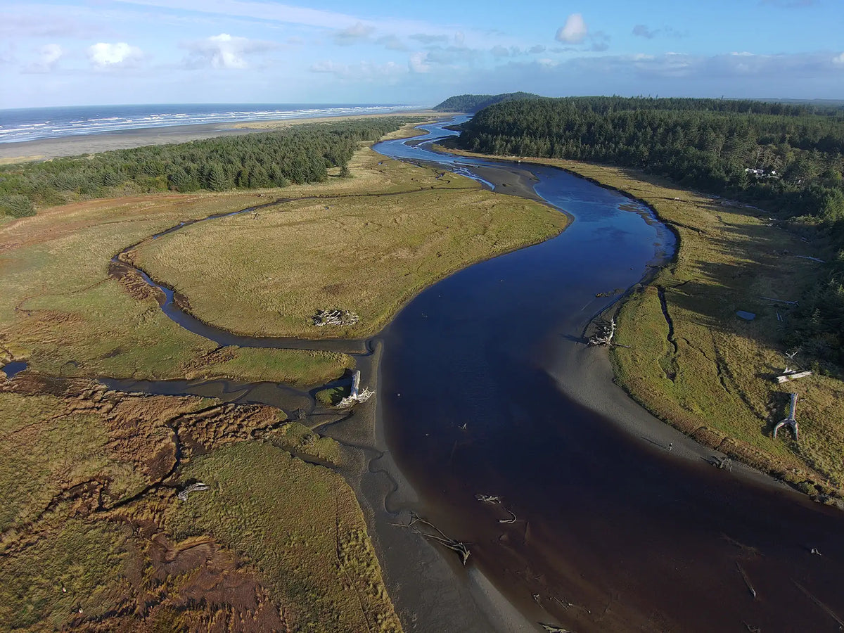 Fishing the Copalis River