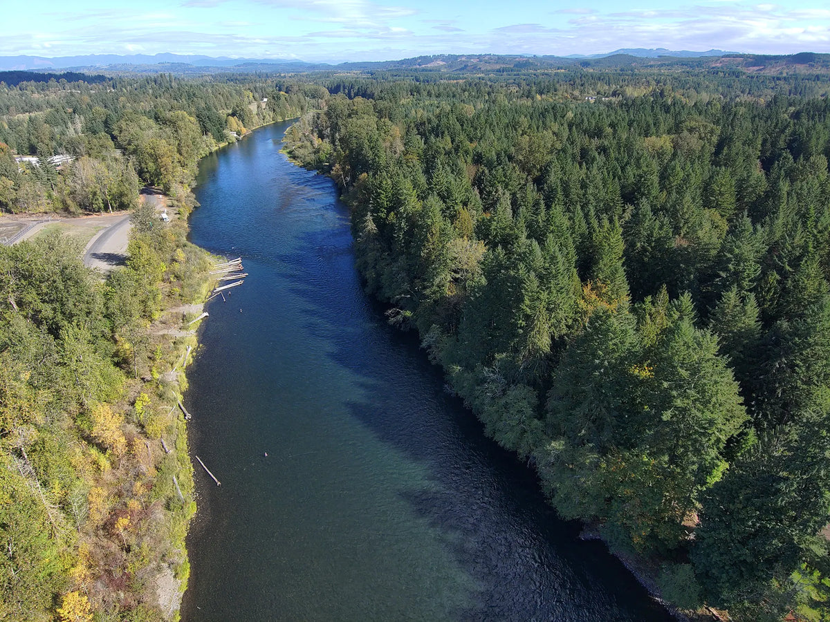 Fishing the Cowlitz River