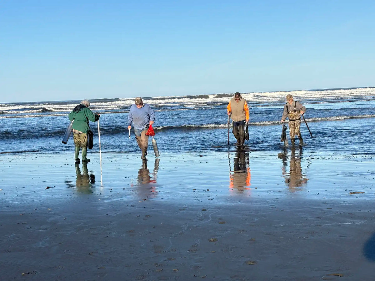 Razor Clamming at Long Beach