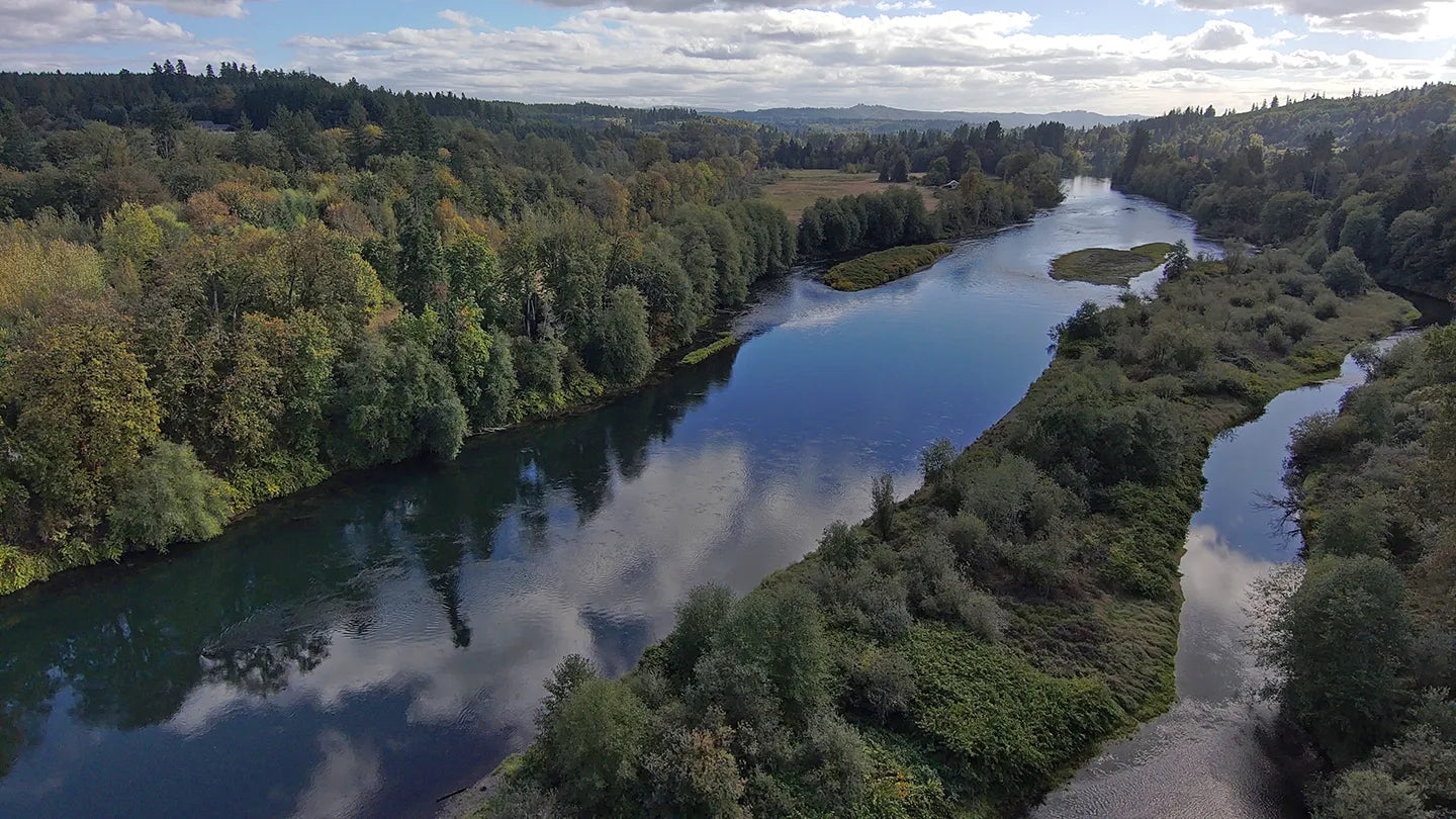 Cowlitz River Smelt Fishing Reopens Saturday February 21st