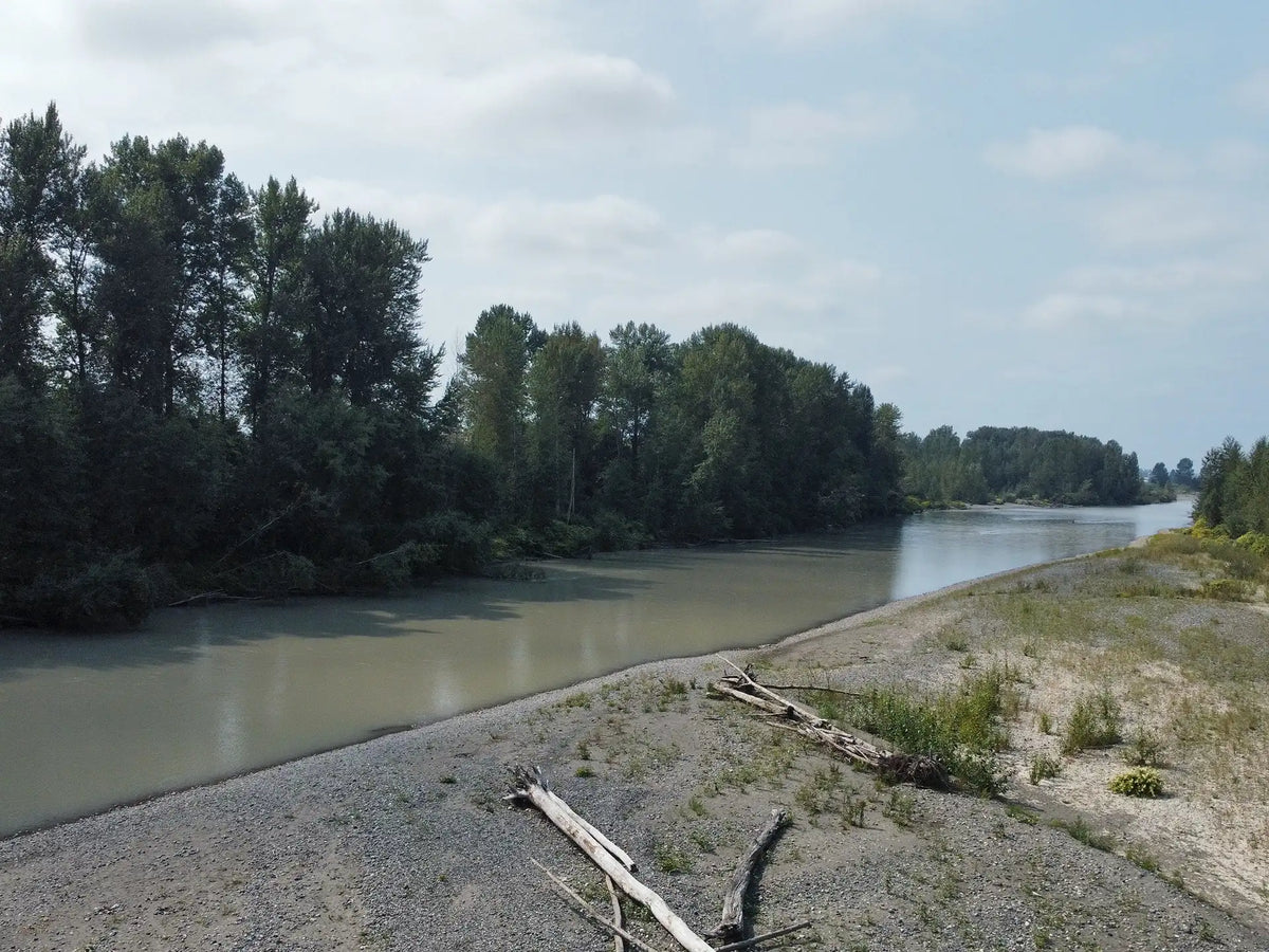 Fishing the Nooksack River