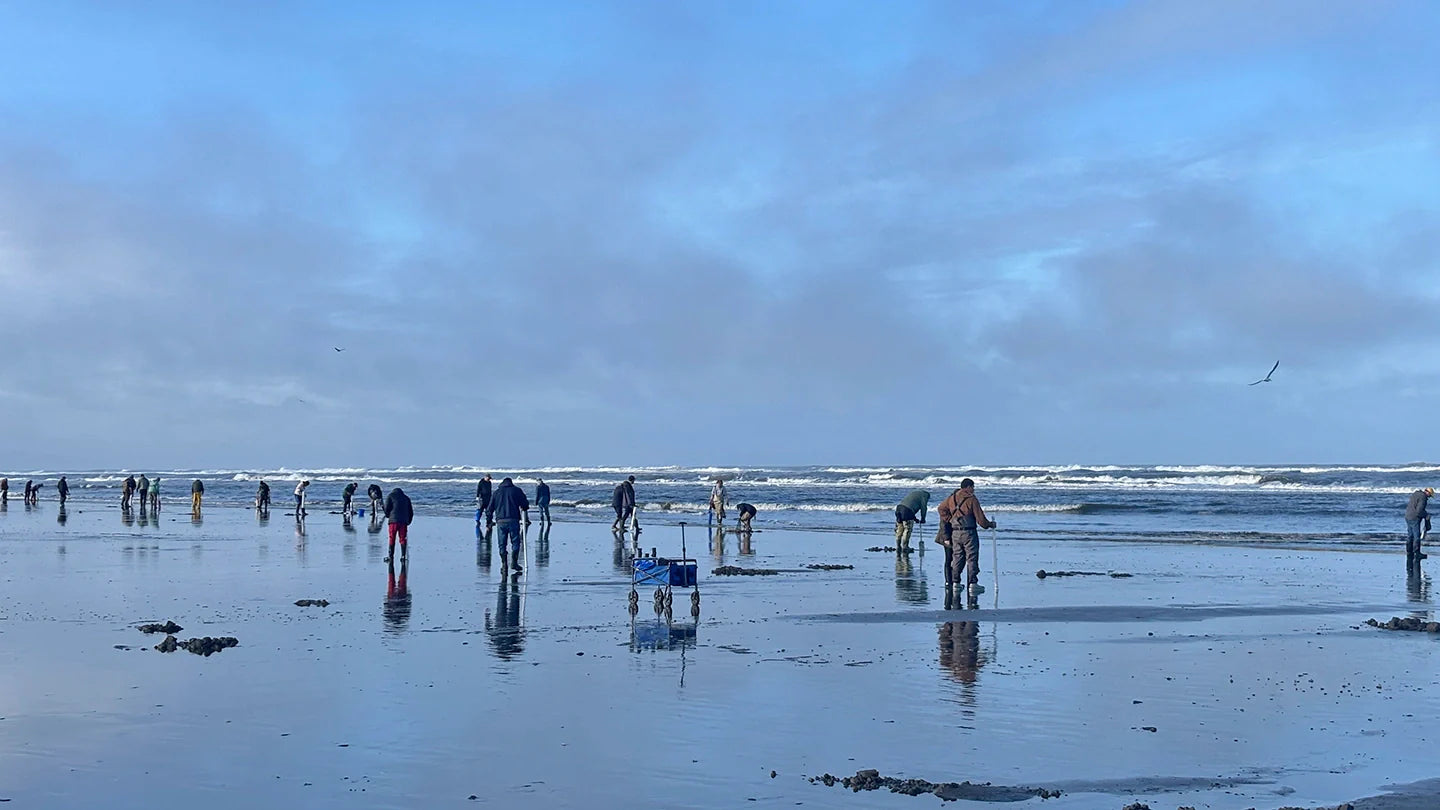 Razor Clam Digs Approved for April 1st to 7th