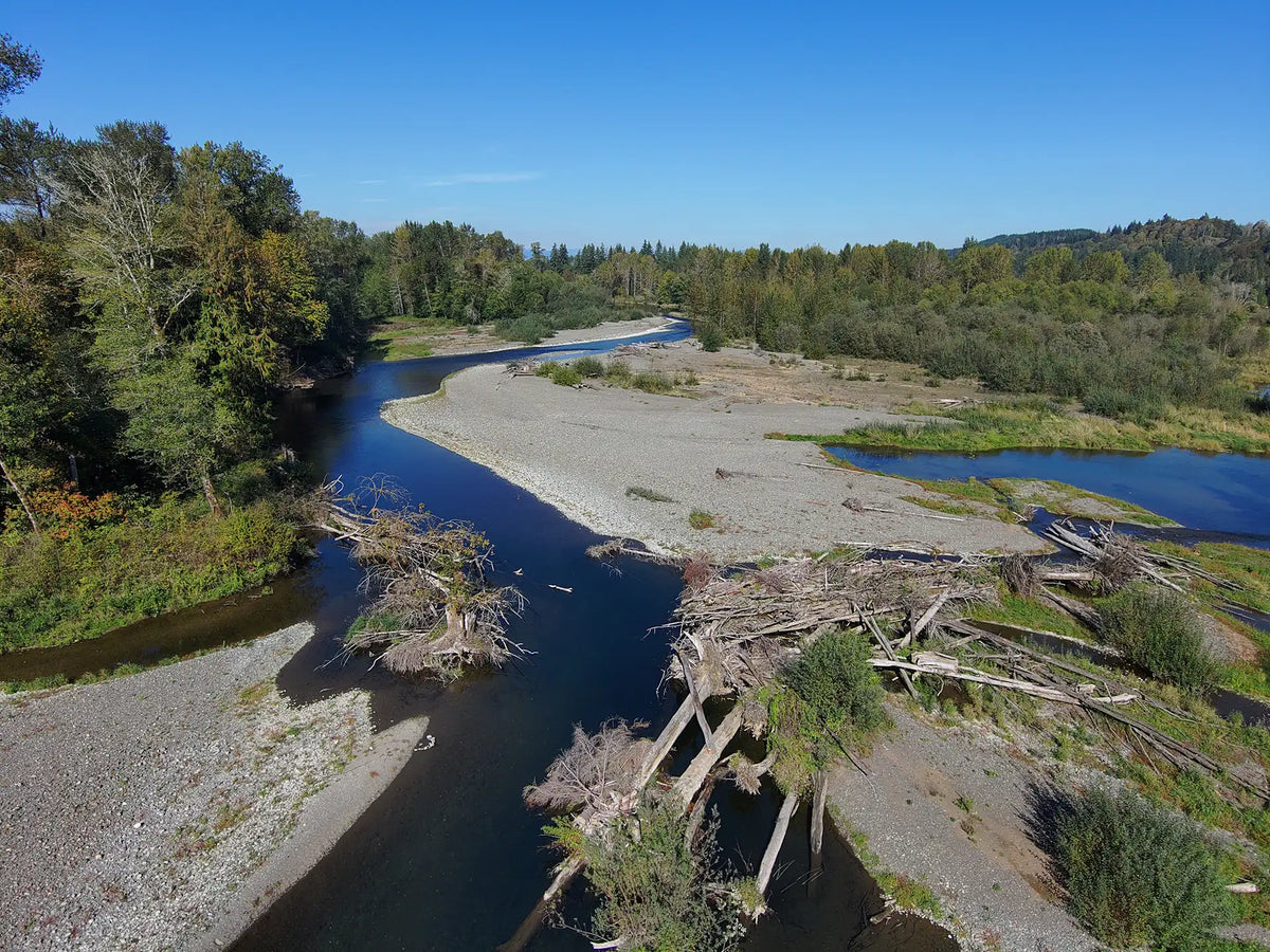 Fishing the Satsop River