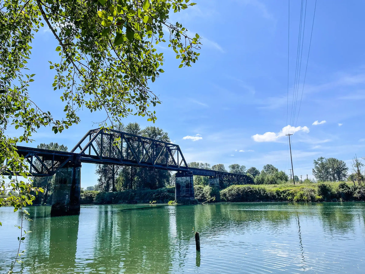 Fishing the Snohomish River