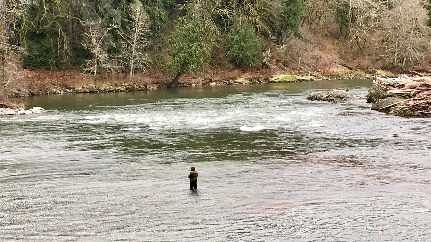 Snoqualmie River & Tokul Creek Steelhead Extended to March 1st