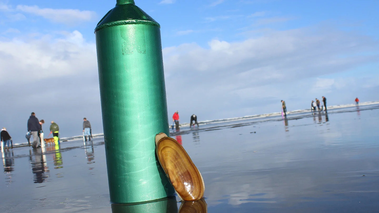 Coastal Razor Clamming Opens February 26th to March 4th