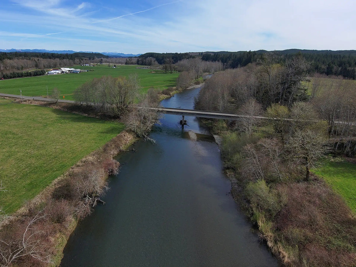 Fishing the Wynoochee River
