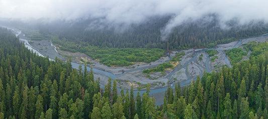 Our Guide to Fishing the Hoh River - Olympic Peninsula, Washington