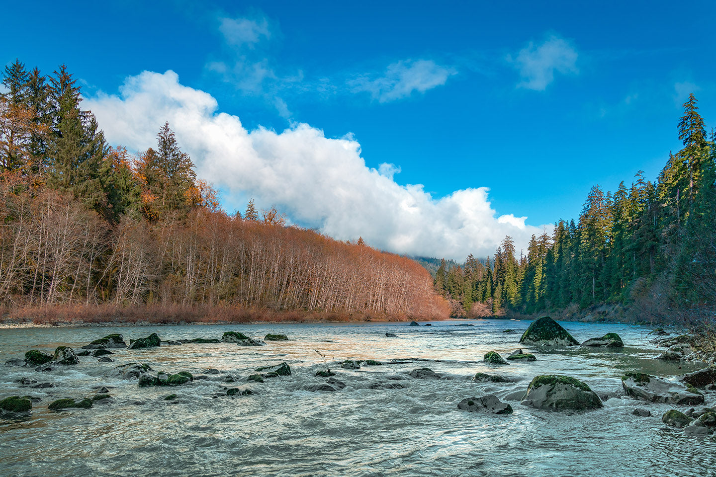 Our Guide to Fishing the Queets River - Olympic Peninsula, Washington
