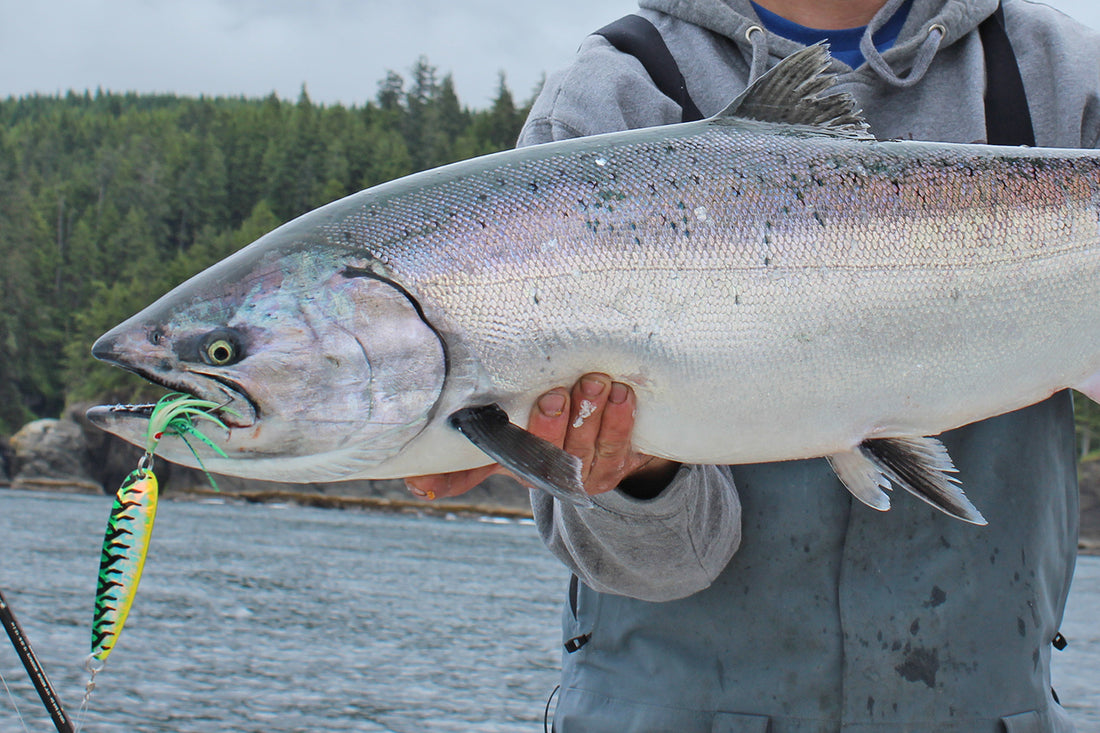 Flasher & Spoon Setup - Trolling for Chinook and Coho Salmon