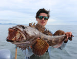 Lingcod & Rockfish