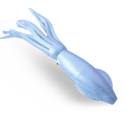 B2 Squid Pearl White