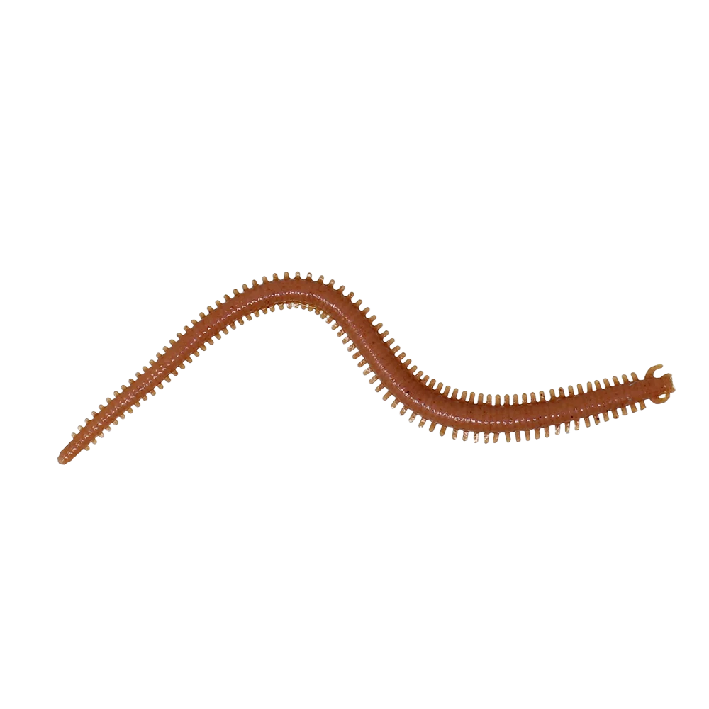 Berkley Gulp 6 Inch Sandworm Natural