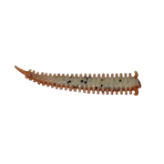 Berkley Gulp 6 Inch Sandworm New Penny