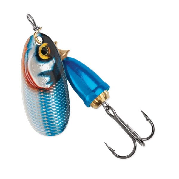 Blue Fox Vibrax Spinner Gilded Blue Steel