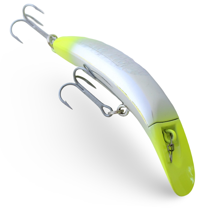 Brads Killerfish Jack Pot