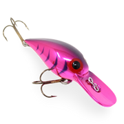 Brads Wiggler BW29 Cerise Purple Herring Bone
