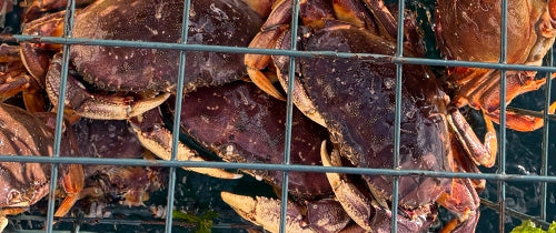 Crabbing Gear