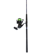 Daiwa Harrier Eliminator Heavy Saltwater Spinning Rod Combo
