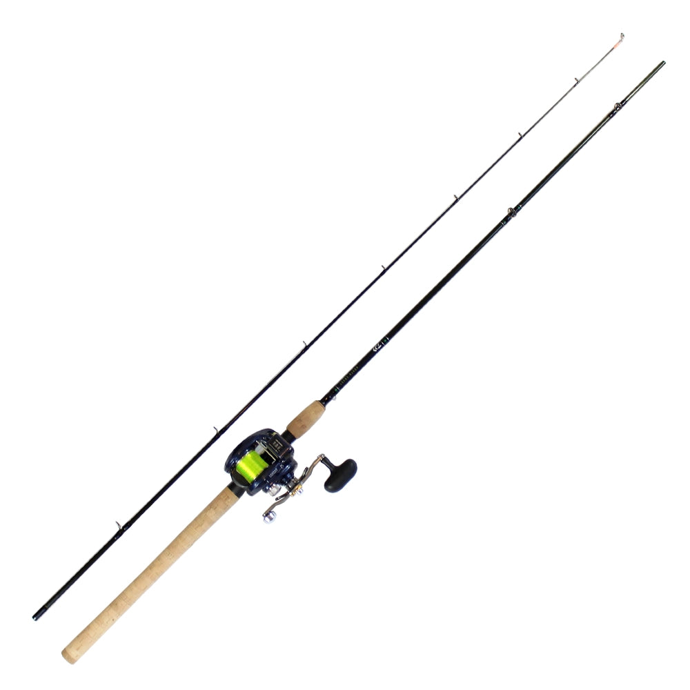 Daiwa Lexa Linecounter Salmon Mooching Rod Reel