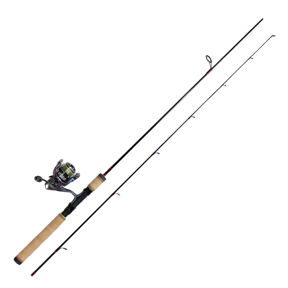 Daiwa Regal Spinmatic Spinning Combo