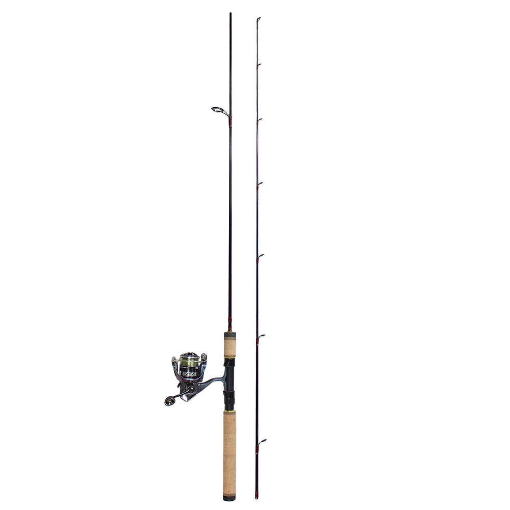 Daiwa Regal Spinmatic Spinning Rod Reel Combo