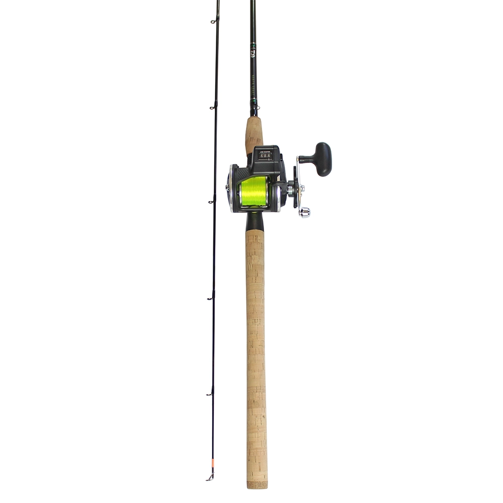 Daiwa Sealine Saltwater Salmon Mooching Rod Reel Combo