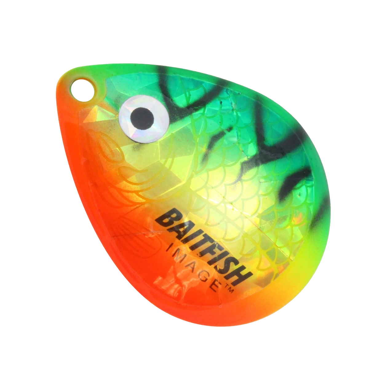 Northland Baitfish Image Colorado Blade HCDCX-FT