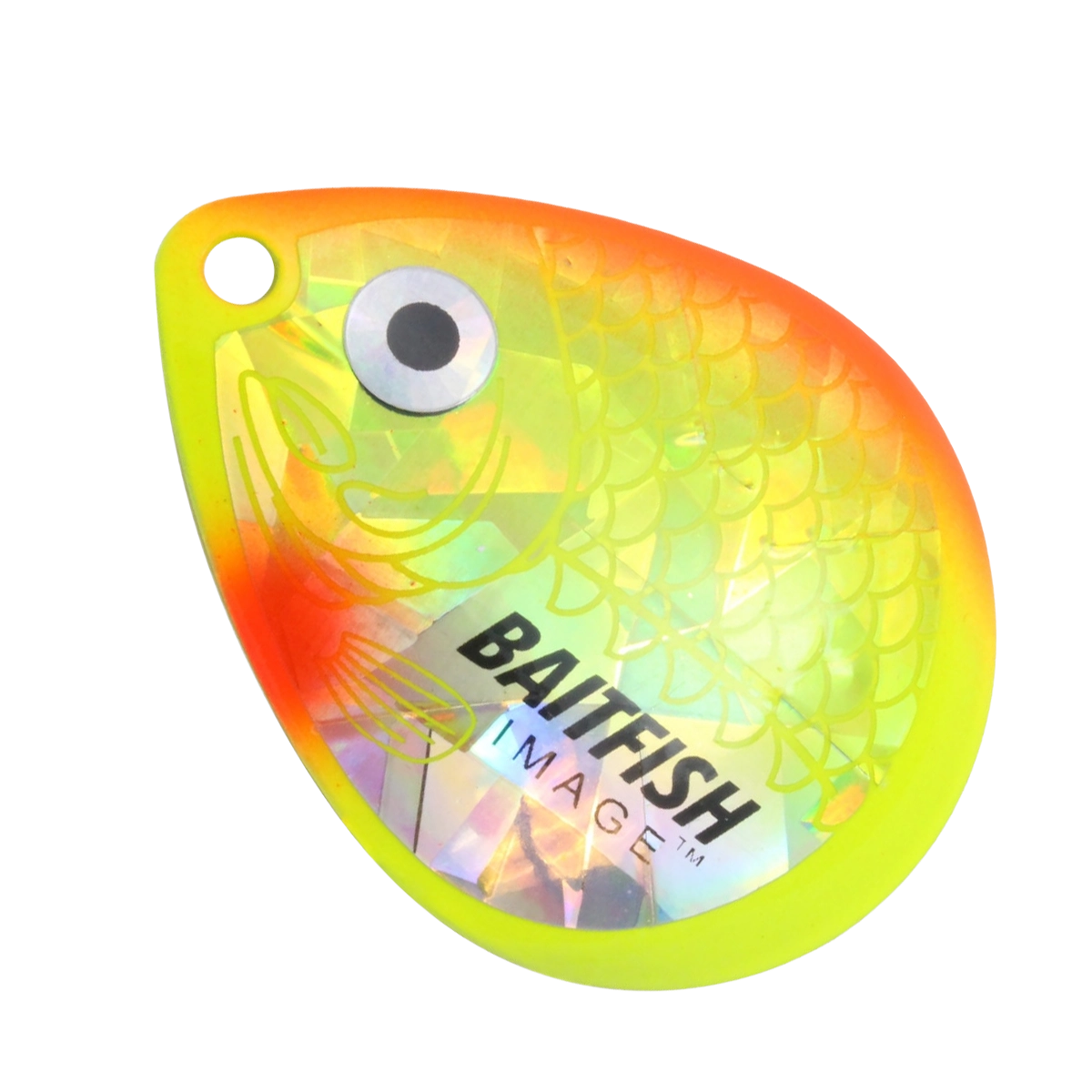 Northland Baitfish Image Colorado Blade HCDCX-YO