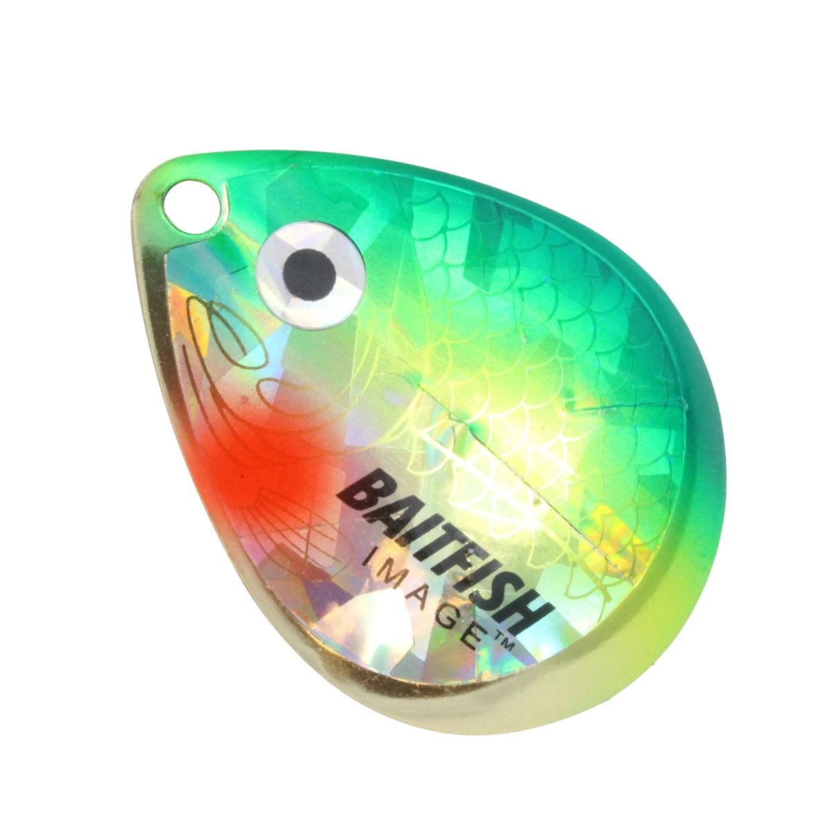 Northland Baitfish Image Colorado Blade HCDCX-YR