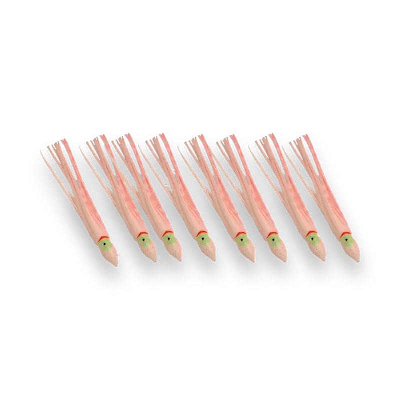 P-Line Sunrise Squid 2-5 White Body Pink Stripes