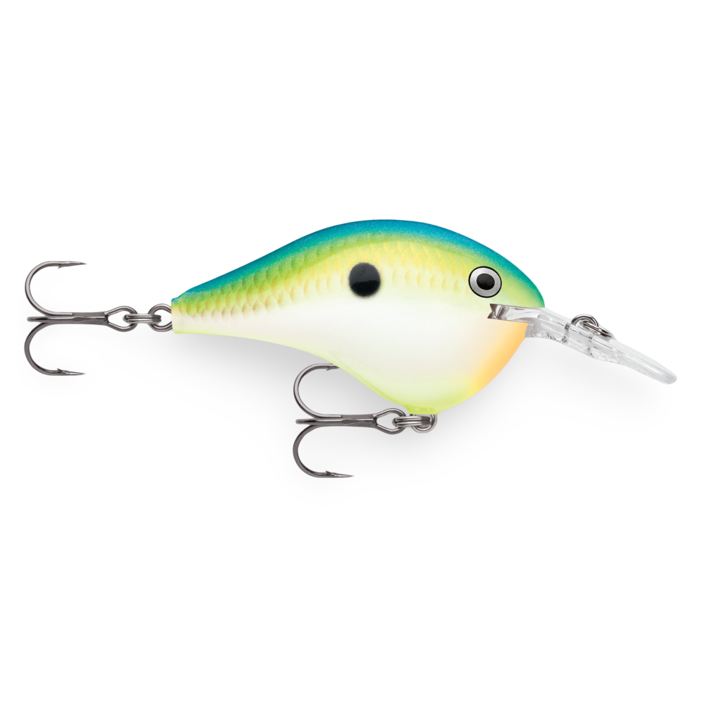 Rapala DT Dives To Series Citrus Shad CTSD