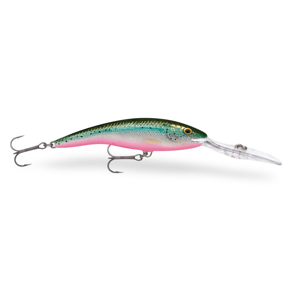 Rapala Deep Tail Dancer Rainbow Trout Flash RTF