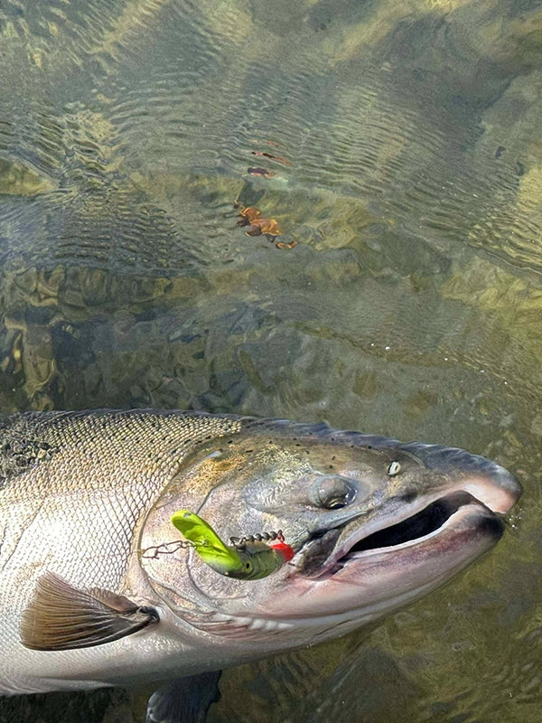 River Salmon Fishing Lures Rods Reels Tackle