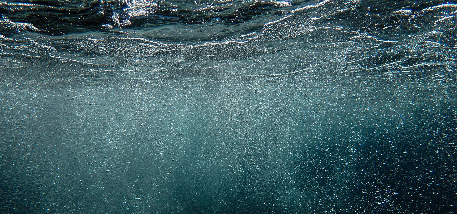 Seattle Fishing Co Sale Banner