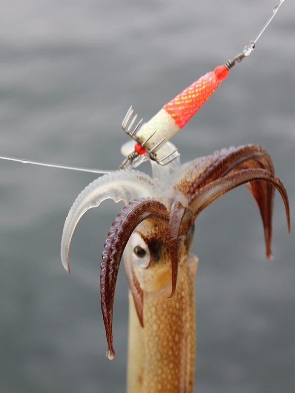 Squid Fishing Lures Rods Reels Tackle