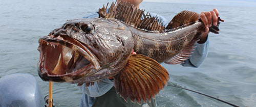 lingcod fishing tackle