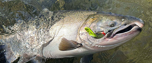 salmon river fishing tackle