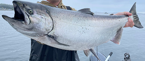 salmon saltwater fishing tackle