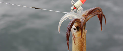 squid fishing tackle